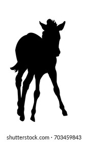 View on the silhouette of a Zebra Kitten - digitally hand drawn vector illustraion