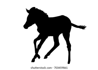 View on the silhouette of a Zebra Kitten - digitally hand drawn vector illustraion