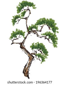 The view of pine 