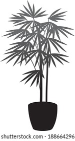 The view of plant 