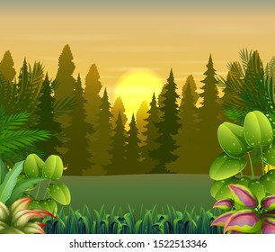 View of plants and trees at sunset background