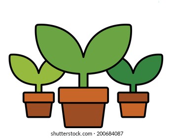 The view of pot 