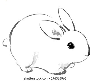 The view of rabbit 