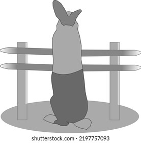 a view of a rabbit back leaning on a fence