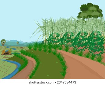 The view of the rice fields with farmers planting rice.