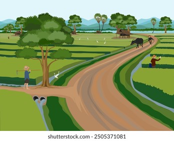 The view of the rice fields with farmers planting rice.