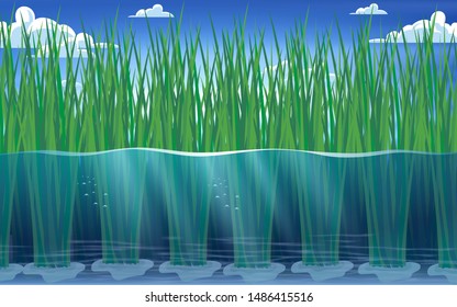 view of rice plants under water in rice fields