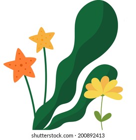 The view of sea mustard 