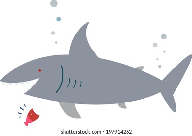 The view of shark under the sea 