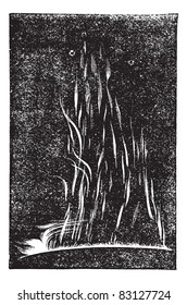 The view of Solar prominence at one hour after noon on September 7, 1871, vintage engraving. Old engraved illustration of the view of Solar prominence. Trousset encyclopedia (1886 - 1891).