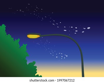 vistas al amanecer de la luz de la calle, el poste de luz, el farol o la lámpara de la calle
