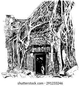 View of Ta Phrom in Angkor - Vector Illustration