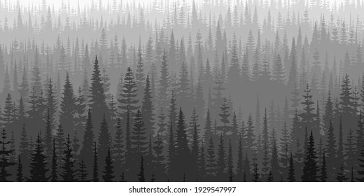 View of taiga expanses, black and white landscape