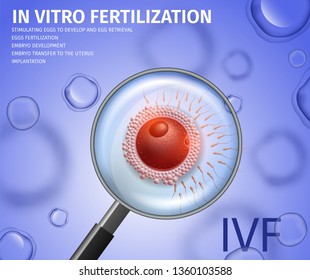 View Through Magnifier on Egg Attacked with Sperm. In Vitro Fertilization Stages. Stimulating Eggs, Embryo Development, Transfer to Uretrus, Implantation. IVF. Vector Realistic Illustration. Banner