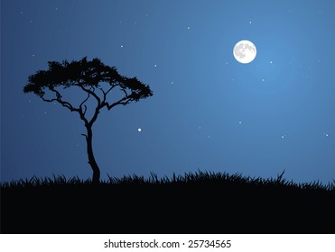 View of a tree silhouetted by the full moon.