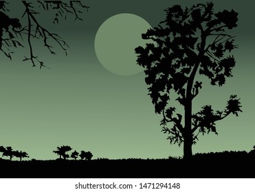 view of trees and moon for background illustration and iamge