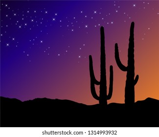 
View of two cactus with sunset background view