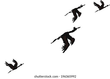 The view of two cranes are flying 