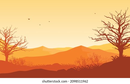 views of the forest and mountains on the edge of the countryside with a beautiful lake
