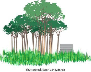 views of green trees and suitable for relaxing