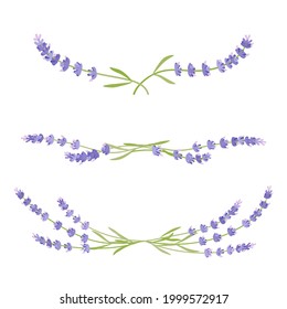 Vignette with lavender, decorative element. Vector illustration cartoon flat icon isolated on white background.