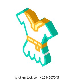 viking clothes isometric icon vector. viking clothes sign. isolated symbol illustration