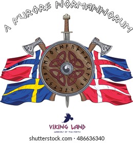 Viking shield decorated with runes and crossed axes and sword on the background of flags of Scandinavian countries, vector illustration, eps-10