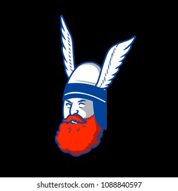 viking warrior head mascot