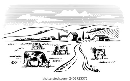 Village cows sketch. Rural landscape countryside.