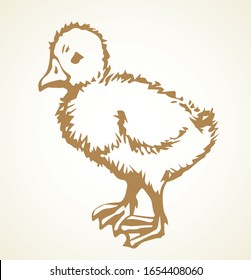 Village drake cub light backdrop. Freehand outline black ink hand drawn rural new zoo logo pictogram emblem design sketchy in retro art doodle etched print style pen on paper text space. Close up view
