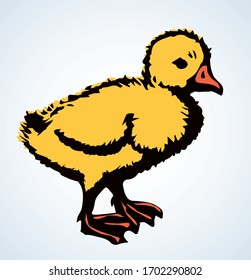Village drake cub light backdrop. Bright yellow color hand drawn rural new zoo logo pictogram emblem design sketchy in retro ar doodle etched print style pen on paper text space. Close up view