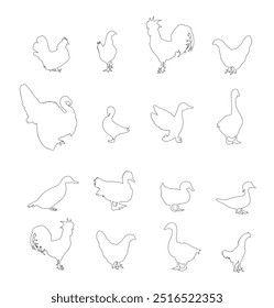 Ilustración de silueta de contorno de línea de Vector de colección de aves de granja de aldea aislada. Aves de corral domésticas: pavo, ganso, gallo, pollo, gallina, pato, ganso chino. Animales de rancho alimentos orgánicos.