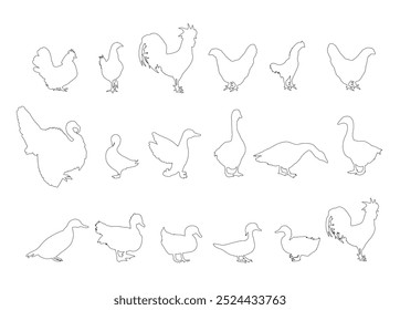 Ilustración de silueta de contorno de línea de Vector de colección de aves de granja de aldea aislada. Aves de corral domésticas: pavo, ganso, gallo, pollo, gallina, pato, ganso chino. Animales de rancho alimentos orgánicos.