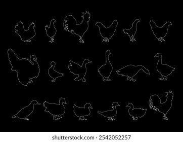 Ilustración de silueta de contorno de línea de Vector de colección de aves de granja de aldea aislada. Aves de corral domésticas: pavo, ganso, gallo, pollo, gallina, pato, ganso chino. Animales de rancho alimentos orgánicos.