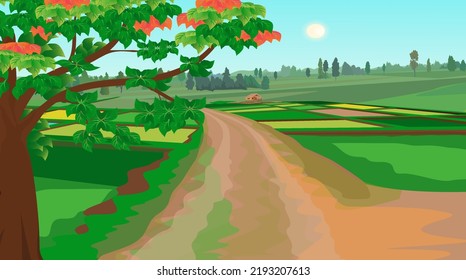 Village field background with green paddy.