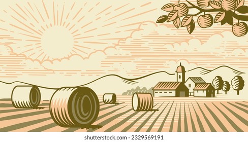 village with hay. Farming land summer