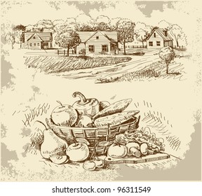 Village Houses Sketch With Food