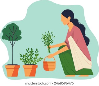 Mujer india del pueblo sostiene la cesta y cosecha las plantas. Concepto de plantas ecológicas y de cultivo. Estilo plano en Ilustración vectorial.