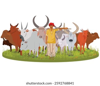 Village man herding cattle and oxen in the field, Indian men with cow and  calf