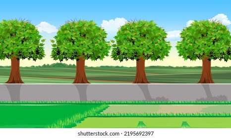 Village nature landscape with trees and a road along the paddy fields.