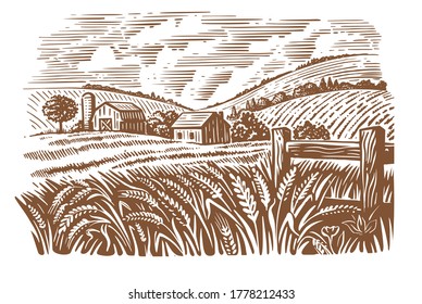 village on Sunny day field of wheat sketch 