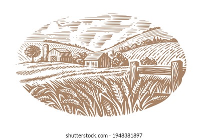 village on Sunny day field of wheat sketch. Farm landscape under cumulus clouds 