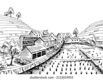 Village rice field graphic black white rural landscape sketch illustration vector 