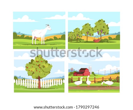 Village scenes semi flat vector illustration set. Milk goat standing near fence. Apple tree. Grape harvest. Geese feeding on ranch. Farmland 2D cartoon landscape collection for commercial use