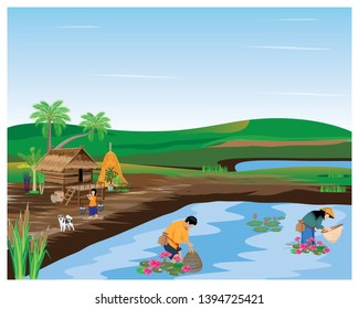 the villagers find fish in pond,lifestyle on people at countryside