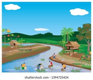 the villagers find fish in pond,lifestyle on people at countryside
