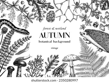 Fondo de otoño de Vinatge. Vida silvestre forestal. Ilustración vectorial dibujada a mano. Animales de bosque, helechos, setas, hojas de otoño y bocetos de plantas de otoño. Banner de época, tarjeta, plantilla de diseño