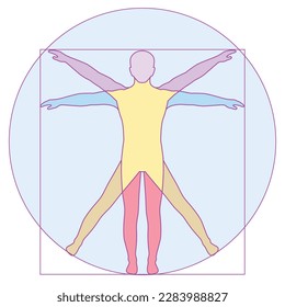 Vinci, icon Vetruvian Man, vector human body anatomy