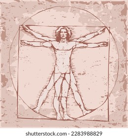 Vinci, icon Vetruvian Man, vector human body anatomy