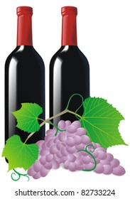 vine and bottle of wine